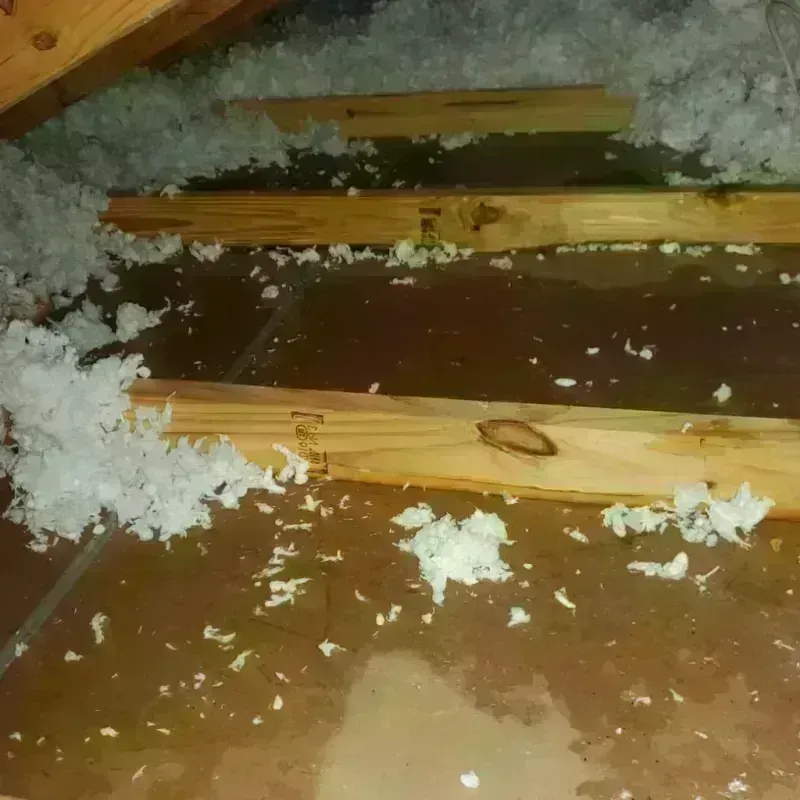 Attic Water Damage in Brazos County, TX